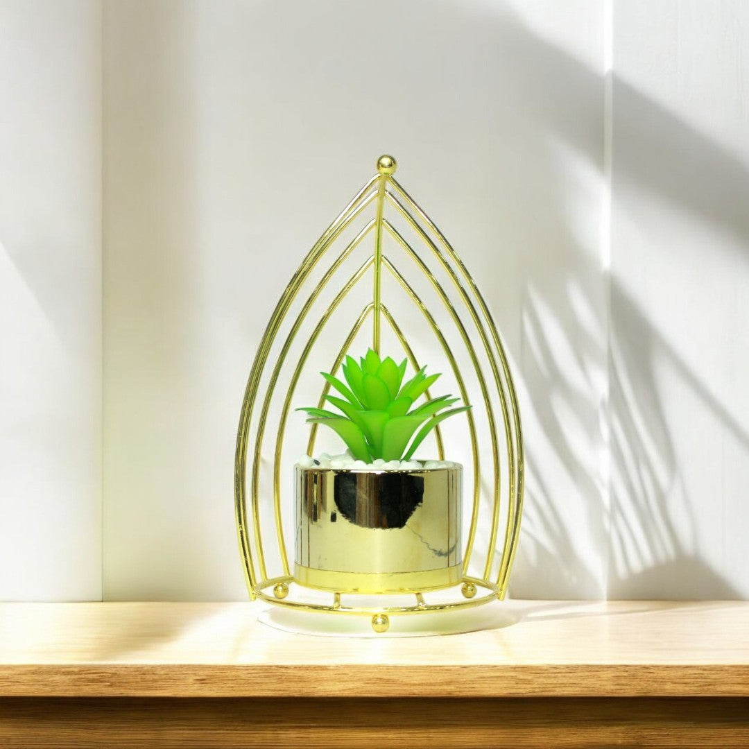 Leafed Cactus Main image