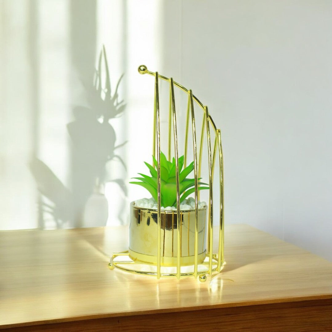 Leafed Cactus Secondary image